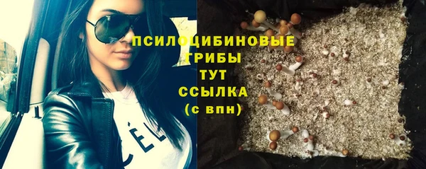 apvp Нея