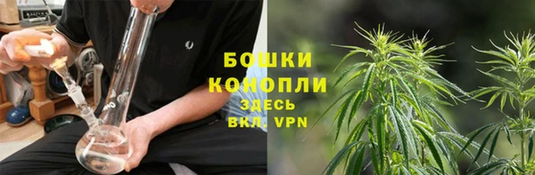 apvp Нея